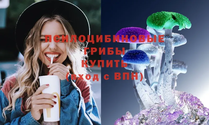 Псилоцибиновые грибы Psilocybe  где купить наркоту  Афипский 