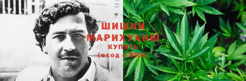 МАРИХУАНА Ganja  Афипский 